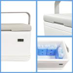 Customize Small Portable Cooler for Medicine Safety Cold Chain Storage