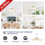 Metal Acrylic 42 Inch Ceiling Fan Light with Pure Copper Motor and Remote