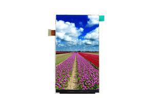 China 30 Pin MIPI Interface Portrait TFT LCD Display Module 4.5 Inch 480x854 on sale