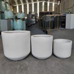 Wholesale Real Plant Display With Fiber Clay Planters Decoration