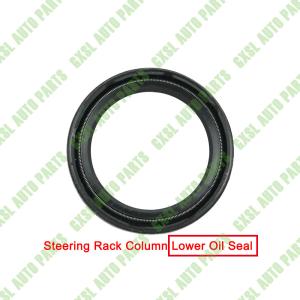 China For Maserati Ghibli Quattroporte Steering Lower Oil Seal OEM 670102931 670036718 670039794 factory
