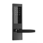 Digital 300mm Bluetooth Keypad Door Lock TT Right Handle