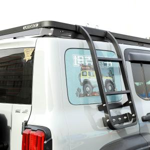 China Transform Your 2013-2017 JEEP into a Beast with WEY Tank 300 Side Ladder Retrofit Kit factory