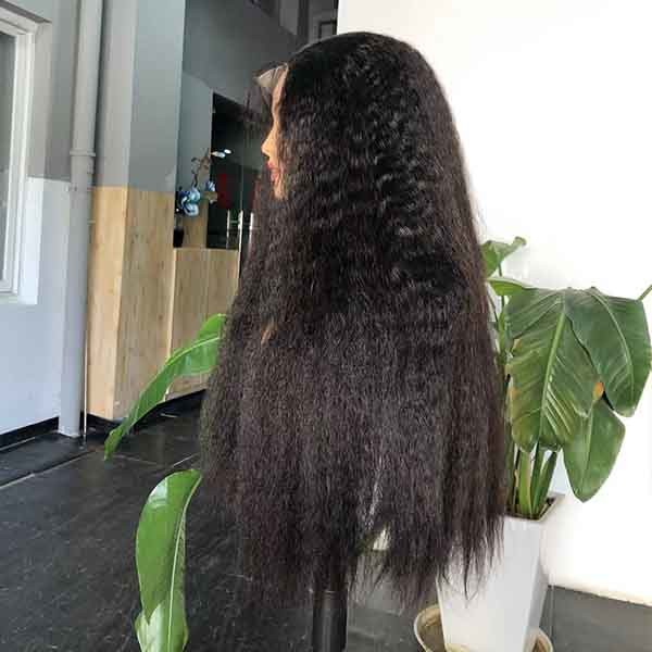 Super Double Drawn Preplucked HD Lace Wig Closure 6X6 Swiss Human Hair