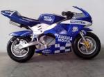 49cc 2-Stroke Air Cooled Mini Moto/Racing Bike
