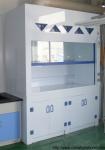 Practical Chemical Fume Hood Multipurpose For Furniture Distributor