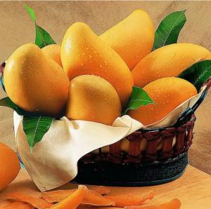 China Raw Mango Juice Processing Machine 2T/H 300 - 500ml Bottle factory