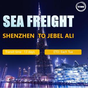 China Sea Freight From Shenzhen To Dubai International Logistcs DDU/DDP Services factory