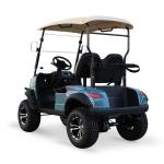 400-500kg Curb Weight 2024 Custom Design Luxury Lifted 2 Passenger Electric Golf