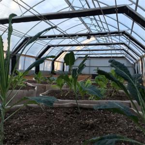China Automatic Control Single Span Greenhouse Blackout Curtain Systems 2.8m-5m factory
