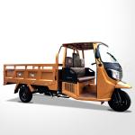 Motorized 200CC Three Wheel Cargo Motorcycle Heavy Load Water Cooling Semi Cabin
