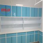 Adjustable Shelves Medical Disposal Treatment Cabinet Price for Safe and