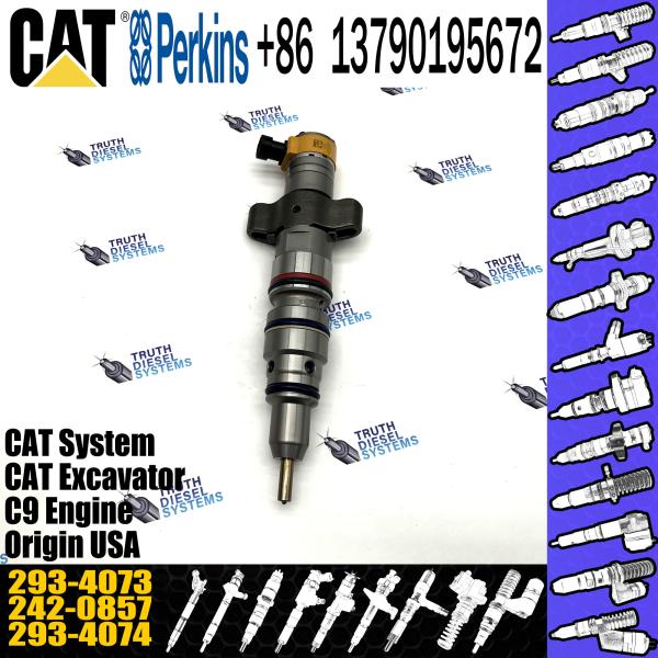 Common Rail Diesel Fuel Injector 10R-7223 293-4073 For Caterpillar C9 Diesel Engin Common