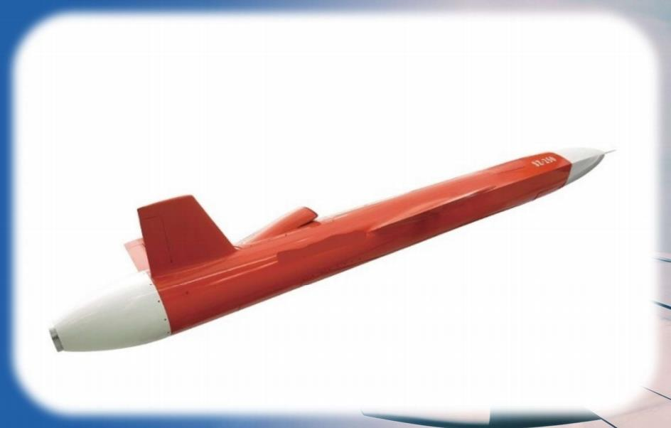 210m/s Medium Stealth Industrial UAV Target Aircraft with 100km Control Radius and 55min Flight Duration 20kg Payload