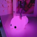 Rechargeable Dimming Color Changing Bedroom Kids Sleep Lamp Silicone Night Light