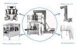300g 500g Flat Pouch Cashew Nuts Packing Machine Multi Function