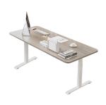 2 Stage Ergonomic Electric Height Adjustable Lifting Desk White Wooden Grain