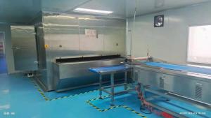 China Conveyor Impingement Freezing Tunnel Iqf Freezer 250kg/H 300kg/H factory