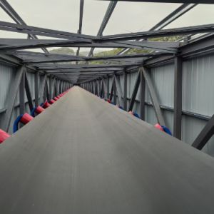 1.6 km Phosphate Ore Belt Conveyor System | 41-Unit DTⅡ Type High-Capacity Line