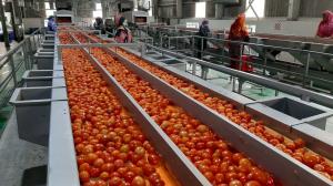 China Pasteurization Ketchup Processing Line 12 - 14 Brix SUS304 factory