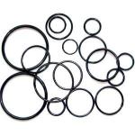 FPM Large Diameter Rubber O Rings Manufacturer