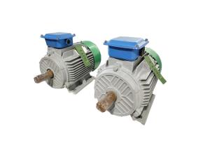 China Low Torque Permanent Magnet Power Generator Rated Rotate Speed 20rpm-3000rpm factory