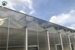 Double Wall PC Polycarbonate Greenhouse Farming Steel Frame Greenhouse