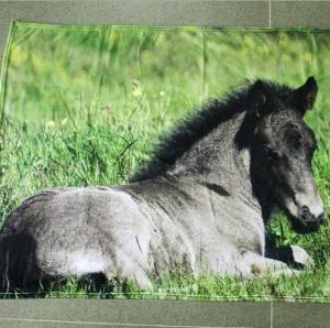 China Thick Soft Flannel Blankets Travel Blankets For Airplanes Customized Size / Weight factory