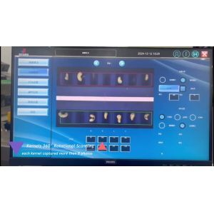 304 Stainless Steel Automatic Cashew Sorting Machine with AI Detection and