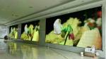 High Contrast Seamless P4 Indoor LED Video Wall advertising business