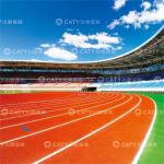 Esp Semi-Prefabricated Rubber Running Track for Sports Centers Complex Stadiums