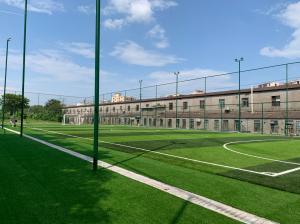 China China Artificial Football Pitches 8000-15000 Dtex Efficient Drainage Rubber Granules / Quartz Sand factory