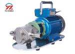 Small Edible Oil Gear Pump , Stainless Steel Rotary Gear Pump For Oil Transfer