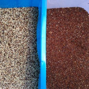 Automatic Computing Grain Sorting Machine With Wifi Remote