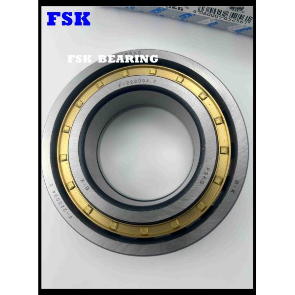 Full Complement F-222094.2 Cylindrical Roller Bearing Hydraulic Bearing Brass Cage