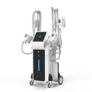 China New Technology Cell Cryolipolysis Equipment Fat Freeze Slimming Machine For Body And Face factory