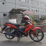 New 125cc Disc Brake Alloy Rims Motorcycle Cub 125cc South America Hot Sale