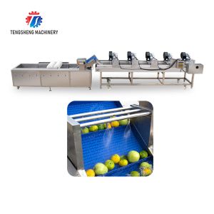 China Customization Ozone Sterilization Fruit And Vegetable Processing Line Dry Detoxification factory