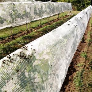 China agricultural product fruit fly nets /vegetables anti fly net factory