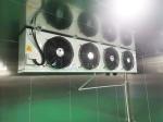 100 Square Meter Cold Storage Room -18­°C Stainless Steel Frozen Meat Freezer