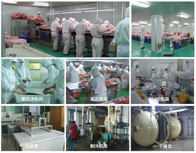 HACCP Low Salt Fried Instant Freeze Dried Noodles