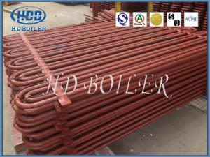 China Painted Stainless Steel Horizontal Superheater And Reheater Inverted factory