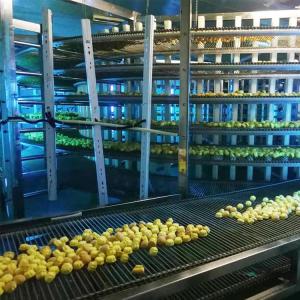 China Industrial Bakery Bread Plant Spiral Cooling Tower China Factory factory
