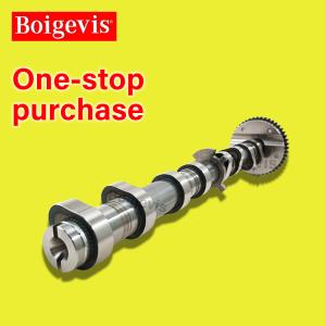 China Camshaft 06J109021G for Skoda Yeti 2014-2018 factory