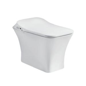China Siphonic Bathroom Automatic Smart Toilet Electric Self - Clean Toilet 6.4L factory