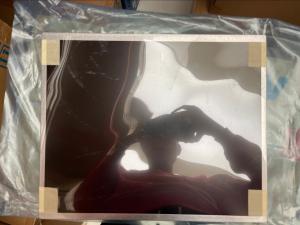 China 17&quot; G170ETN02.2 Sunlight Readable 1280x1024 LCD Display Panel factory