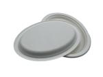 10/12 inch Biodegradable Sugarcane Bagasse Plates