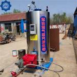 500kg/Hr 0.5ton 0.5t 50hp Vertical Fuel Oil Gas Water Tube Small Steam Boiler