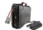 Trolling LiFePO4 12V 100ah Battery