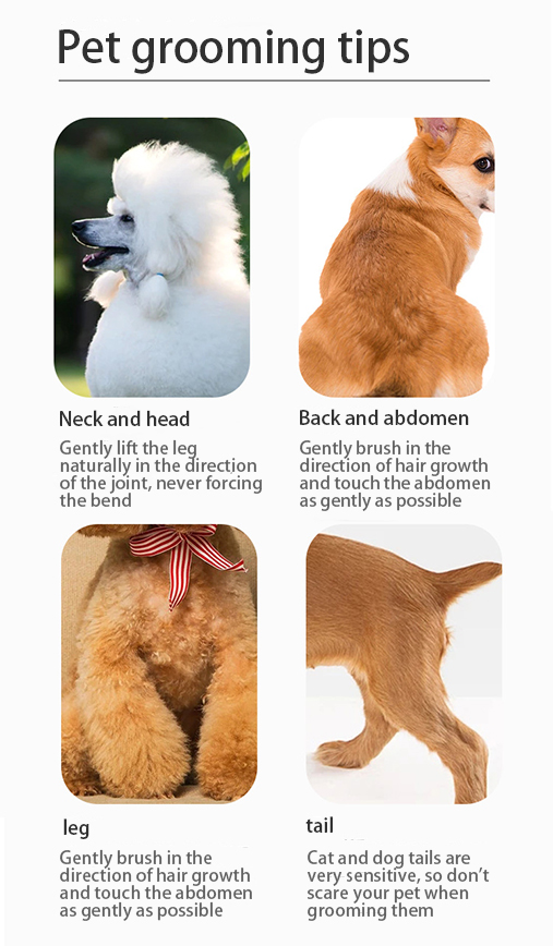 Pet Pin Brush Cat Dog Hair Grooming Slicker Custom Logo Three Sizes Sustainable